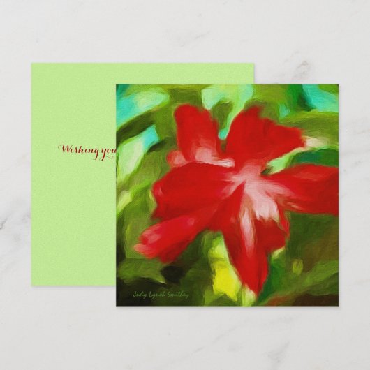 Kerst Cactus Briefkaart (Voorkant / Achterkant)