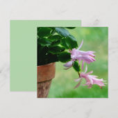 Kerst Cactus Orchidee Bloem Art Note Kaart (Voorkant / Achterkant)