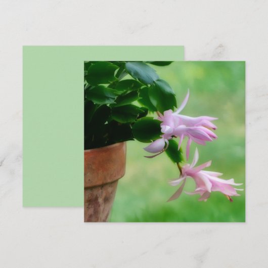 Kerst Cactus Orchidee Bloem Art Note Kaart (Voorkant / Achterkant)