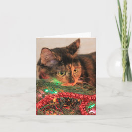 Kerst Calico, Kat houdt van lichten! blanco notiti Feestdagen Kaart