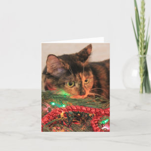 Kerst Calico, Kat houdt van lichten! blanco notiti Feestdagen Kaart