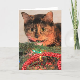 Kerst Calico, Kat houdt van lichten! blanco notiti Feestdagen Kaart