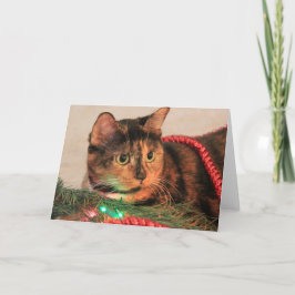 Kerst Calico, Kat houdt van lichten! blanco notiti Feestdagen Kaart