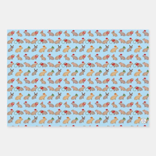 Kerst Capybara Schattige Zoo Dier Hand-getrokken Inpakpapier Vel (Voorkant 3)