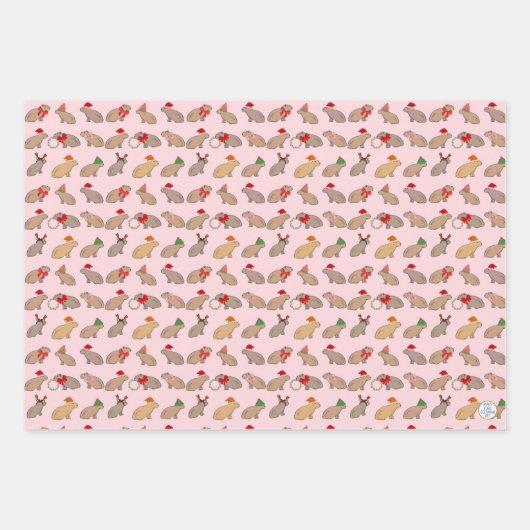Kerst Capybara Schattige Zoo Dier Hand-getrokken Inpakpapier Vel (Voorkant 2)