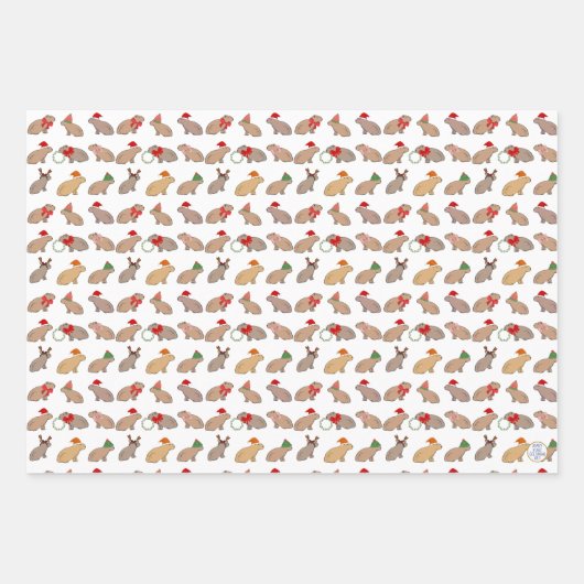 Kerst Capybara Schattige Zoo Dier Hand-getrokken Inpakpapier Vel (Voorkant)