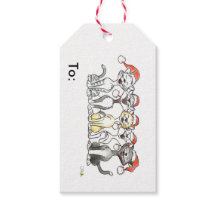 Kerst carol zingen katten