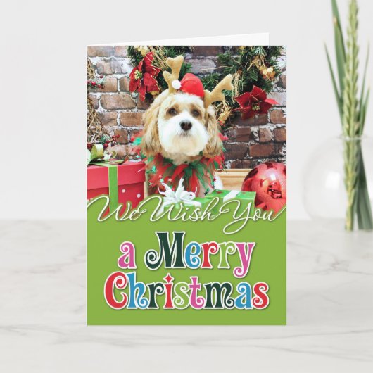 Kerst - Cavachon - Max Feestdagen Kaart (Voorkant)