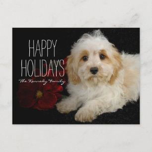Kerst Cavachon puppy Feestdagenkaart