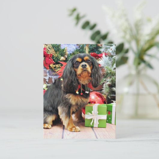 Kerst - Cavalier - Charlie Feestdagenkaart (Staand voorkant)