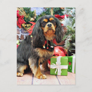Kerst - Cavalier - Charlie Feestdagenkaart