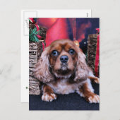 Kerst - Cavalier - Cooper Feestdagenkaart (Voorkant / Achterkant)