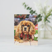 Kerst - Cavalier King Charles Spaniel - Lily Feestdagenkaart (Staand voorkant)