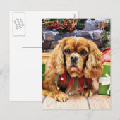 Kerst - Cavalier King Charles Spaniel - Lily Feestdagenkaart (Voorkant / Achterkant)