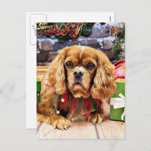 Kerst - Cavalier King Charles Spaniel - Lily Feestdagenkaart (Voorkant / Achterkant)