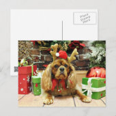 Kerst - Cavalier King Charles Spaniel - Meyers Feestdagenkaart (Voorkant / Achterkant)