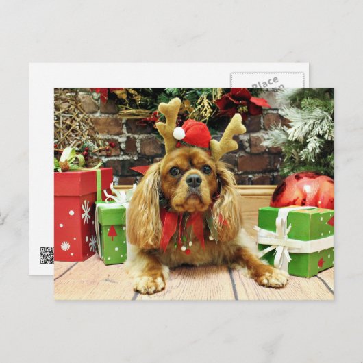 Kerst - Cavalier King Charles Spaniel - Meyers Feestdagenkaart (Voorkant / Achterkant)