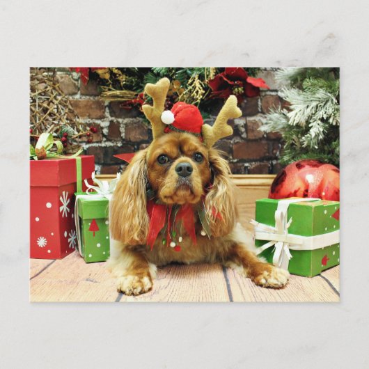 Kerst - Cavalier King Charles Spaniel - Meyers Feestdagenkaart (Voorkant)