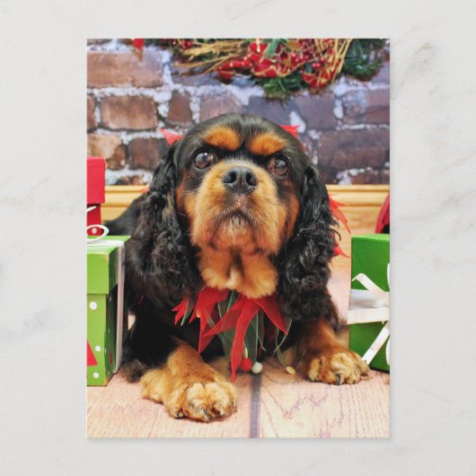 Kerst - Cavalier King Charles Spaniel SweetPea Feestdagenkaart (Voorkant)
