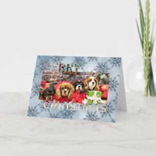 Kerst - Cavalier - Sweet Pea, Lily, Roos Poppy Feestdagen Kaart