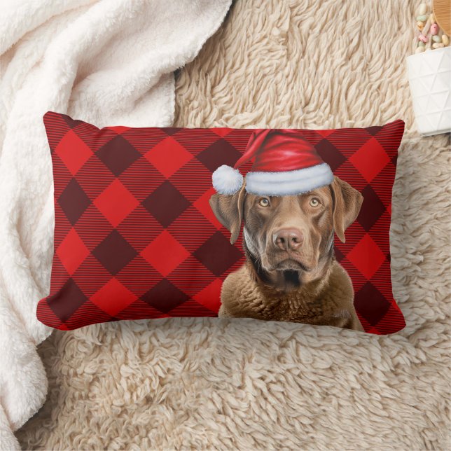 Kerst Chesapeake Bay Hond Feestelijk Plaid Kussen (Deken)