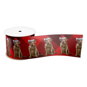 Kerst Chesapeake Bay Retriever Red Plaid Satijnen Lint