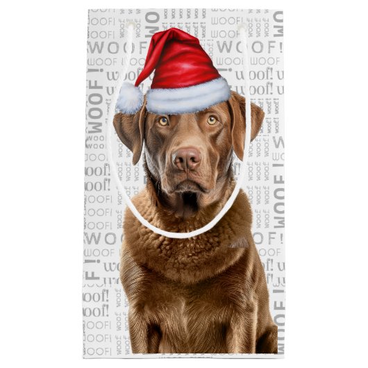 Kerst Chesapeake Hond Vakantie Woof Word Art Klein Cadeauzakje (Voorkant)