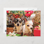 Kerst - Chihuahua - Gordy en Pedro Feestdagenkaart (Voorkant / Achterkant)