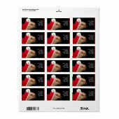 Kerst chihuahua hond adresetiketten etiket (Full Sheet)