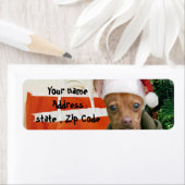Kerst chihuahua hond etiket (Insitu)