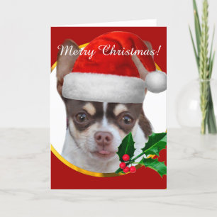 Kerst Chihuahua hond wenskaart Feestdagen Kaart