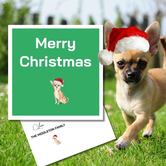 Kerst Chihuahua Hond Wit Groen Vrolijke Groet