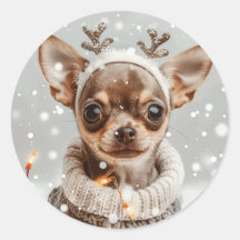 Kerst Chihuahua Rendier Hond