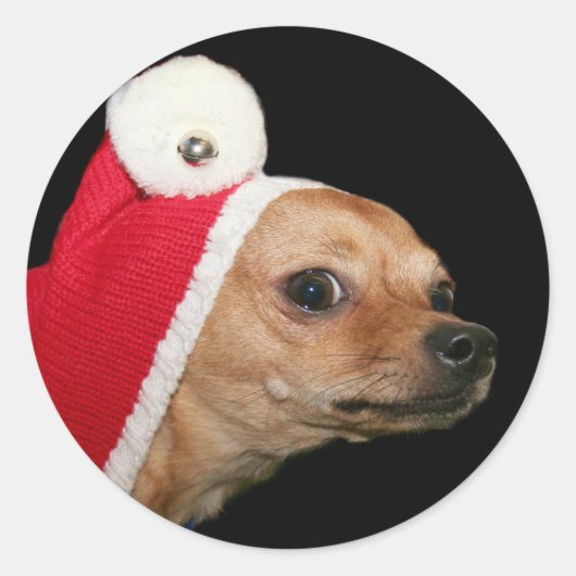 Kerst Chihuahua stickers (Voorkant)