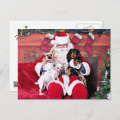 Kerst - Chihuahuas en Cavalier Feestdagenkaart (Voorkant / Achterkant)