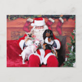 Kerst - Chihuahuas en Cavalier Feestdagenkaart (Voorkant)