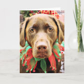 Kerst - Chocolade Labrador - Hershey Feestdagen Kaart (Voorkant)