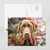 Kerst - Chocolade Labrador - Hershey Feestdagenkaart (Voorkant / Achterkant)