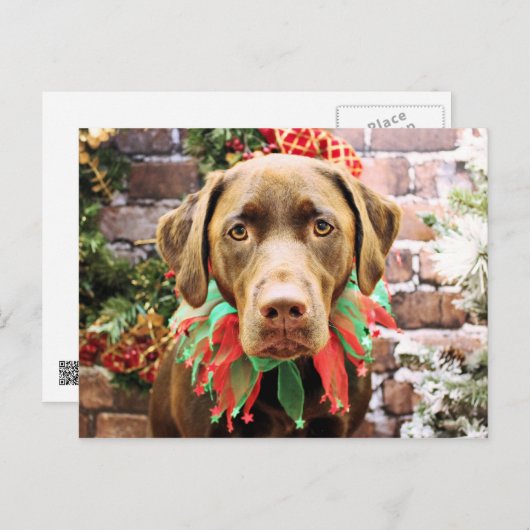 Kerst - Chocolade Labrador - Hershey Feestdagenkaart (Voorkant / Achterkant)