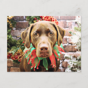 Kerst - Chocolade Labrador - Hershey Feestdagenkaart