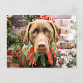 Kerst - Chocolade Labrador - Hershey Feestdagenkaart (Voorkant)