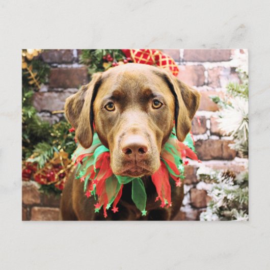 Kerst - Chocolade Labrador - Hershey Feestdagenkaart (Voorkant)