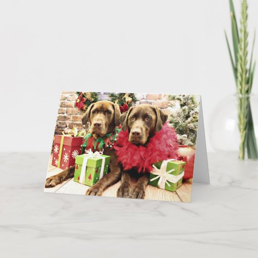 Kerst - Chocolade Labrador - Hershey & Zena Feestdagen Kaart (Voorkant)