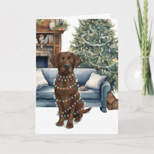 Kerst Chocolade Labrador Hond In Kerstverlichting Feestdagen Kaart