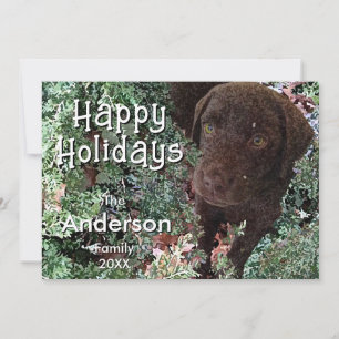 Kerst Chocolade Labrador Hond "Prettige Feestdagen Kaart