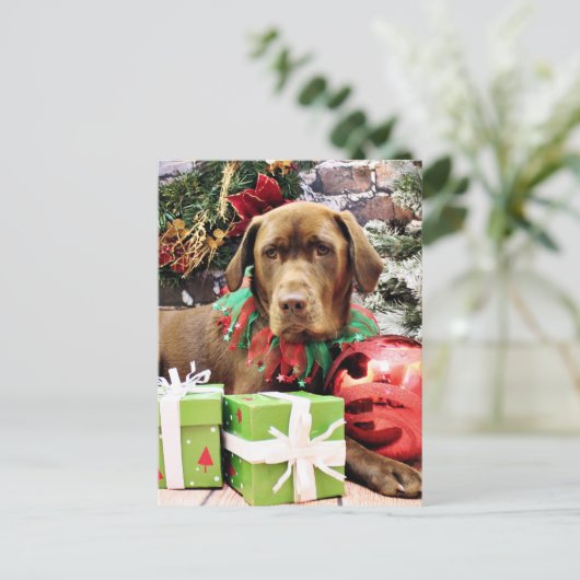 Kerst - Chocolade Labrador - Zena Feestdagenkaart (Staand voorkant)