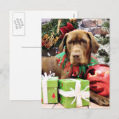 Kerst - Chocolade Labrador - Zena Feestdagenkaart (Voorkant / Achterkant)