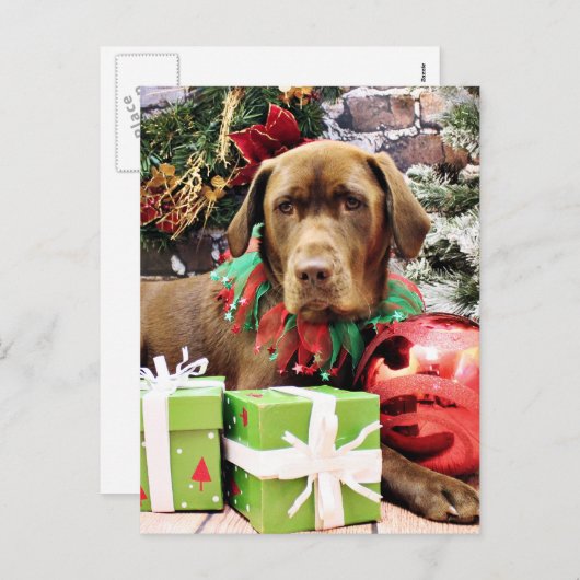 Kerst - Chocolade Labrador - Zena Feestdagenkaart (Voorkant / Achterkant)