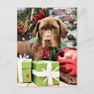 Kerst - Chocolade Labrador - Zena Feestdagenkaart