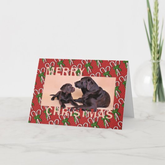 Kerst - Chocolade Labradors Feestdagen Kaart (Voorkant)